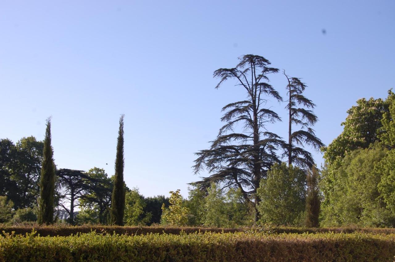 Villa Gite du chateau à Marigny  Extérieur photo